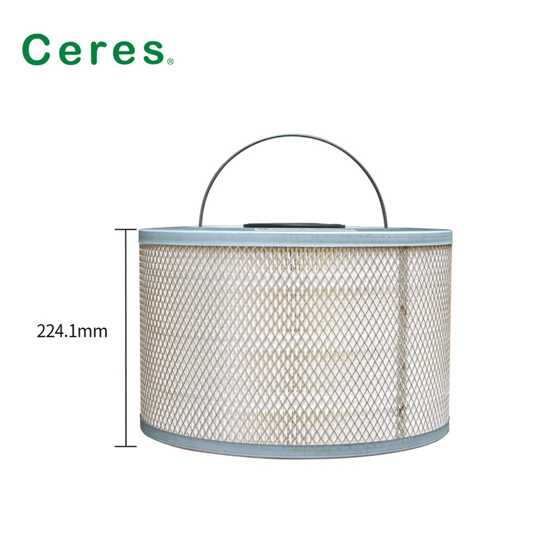 25211119A-C Ctp Kodak Air Filter 224.1mm Height